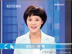 中央一套直播在线观看,实时掌握国家动态,畅享精彩瞬间 第3张 中央一套直播在线观看,实时掌握国家动态,畅享精彩瞬间 第3张